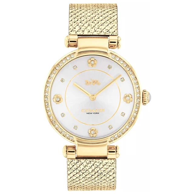 Coach Cary Watch 14503997 kol saati