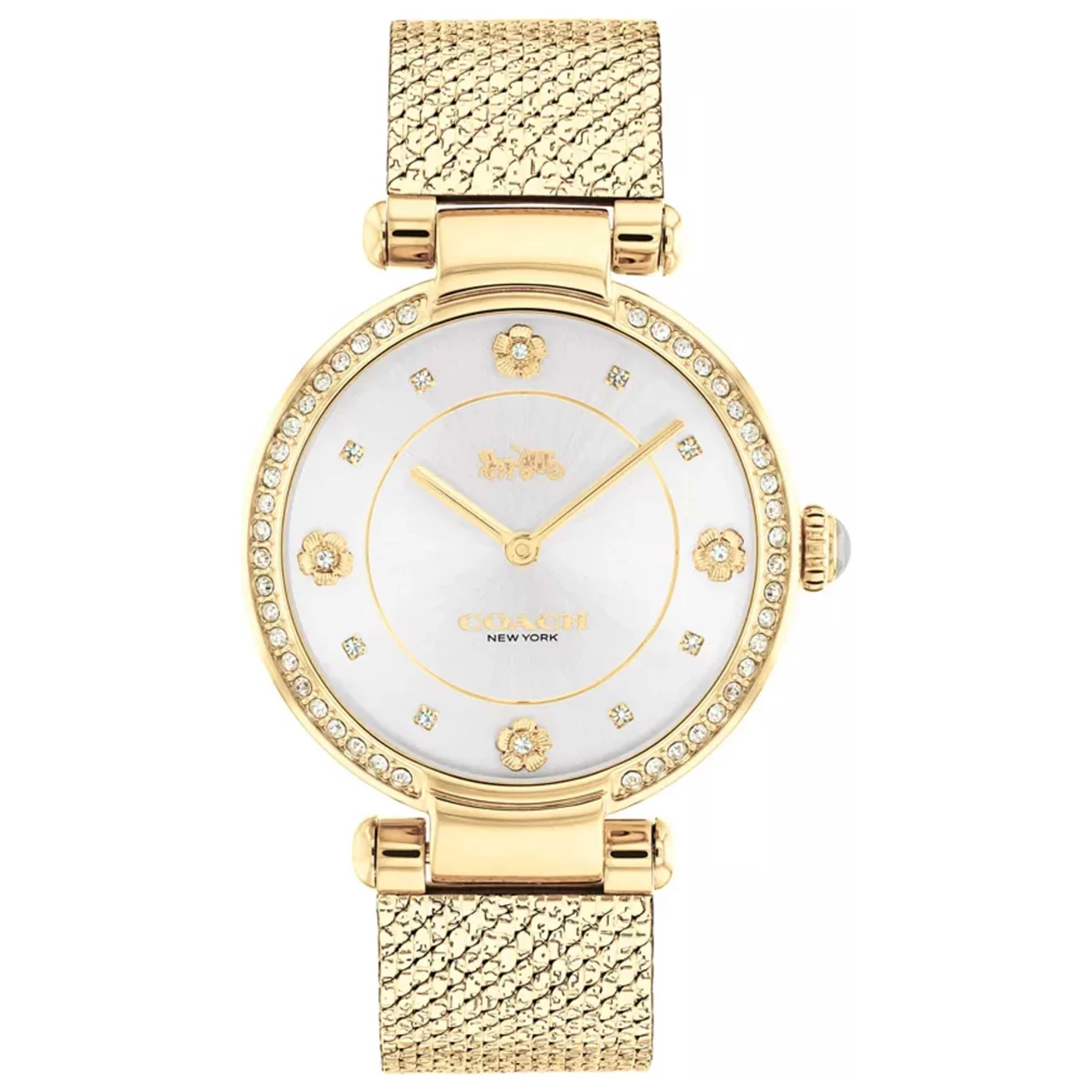 Coach Cary Watch 14503997 kol saati