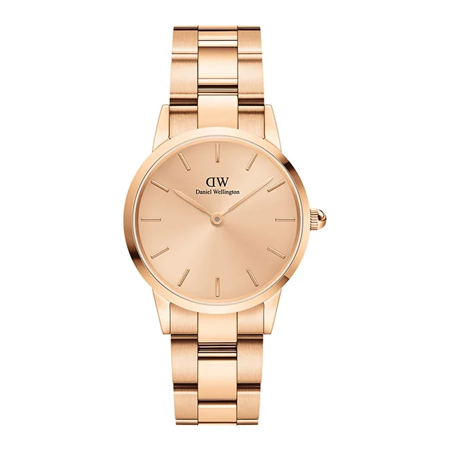 DANIEL WELLINGTON Iconic Link Unitone RG DW00600401 kol saati