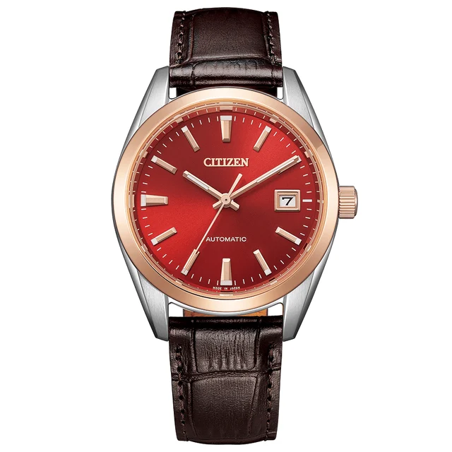 Citizen Citizen NB1055-04W kol saati