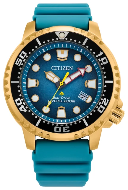 Citizen Promaster Dive BN0162-02X kol saati