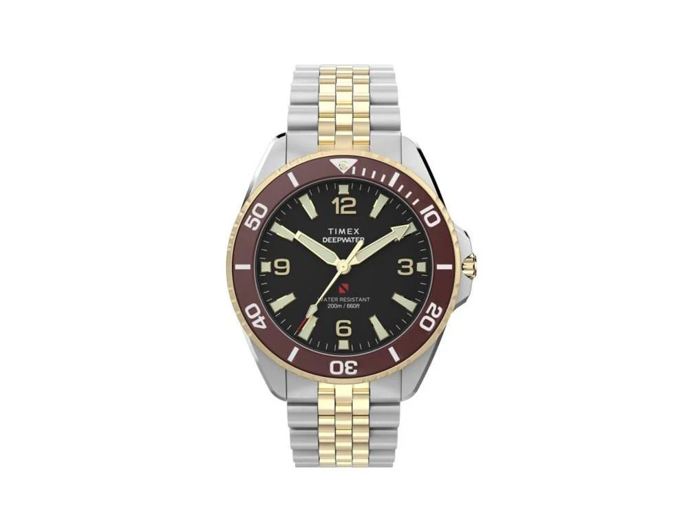 Timex TMX-TW2Y64700 41 mm kol saati