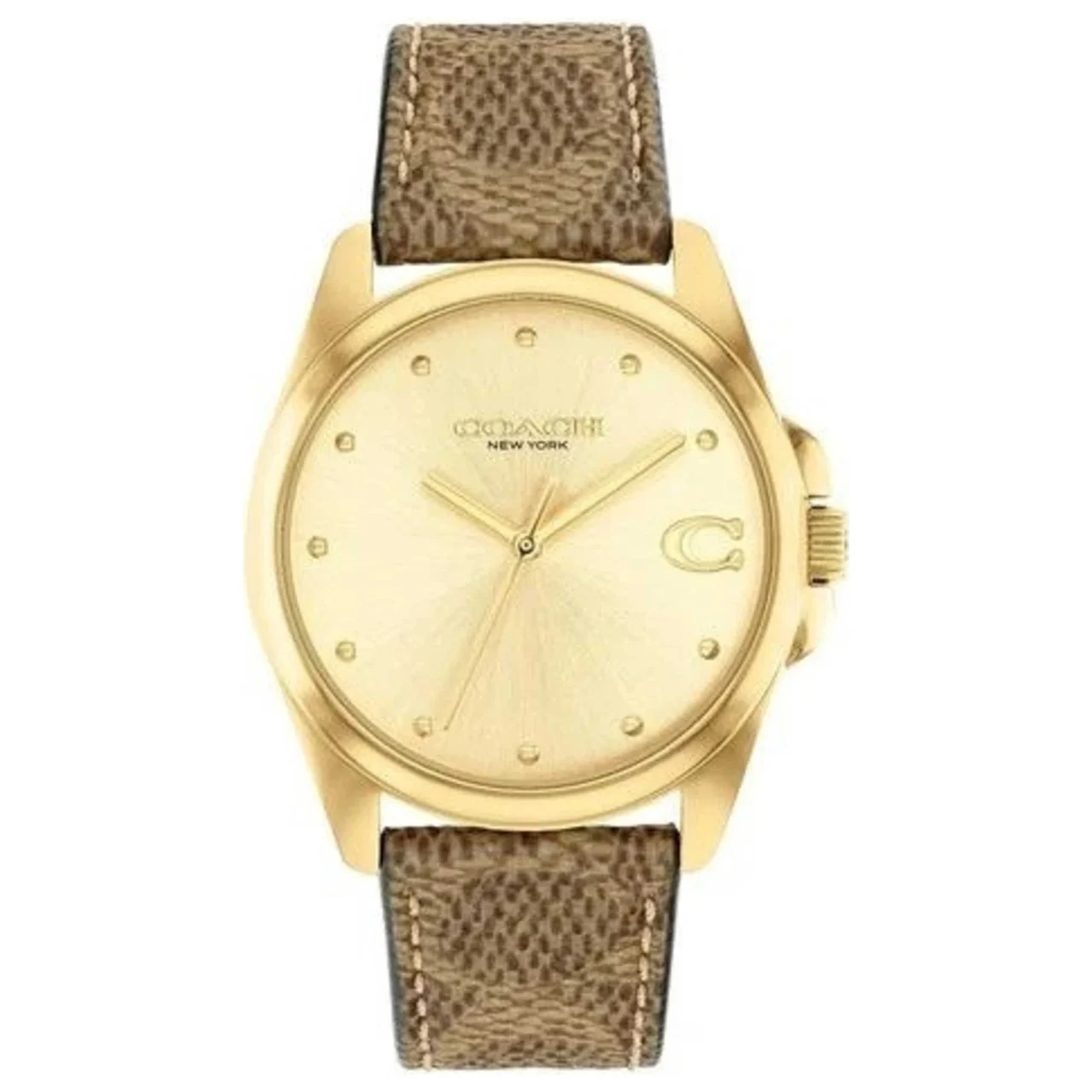 Coach Greyson Watch 14504111 kol saati
