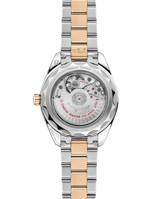 OMEGA Seamaster Aqua Terra 150M 220.20.30.20.02.001 kol saati