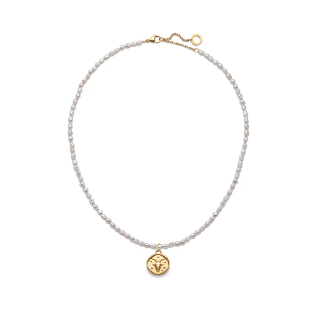 Default Set Capricorn Charm und Halskette Gold PH-JE-1298 kol saati