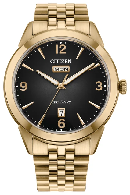 Citizen Citizen 17691430 kol saati