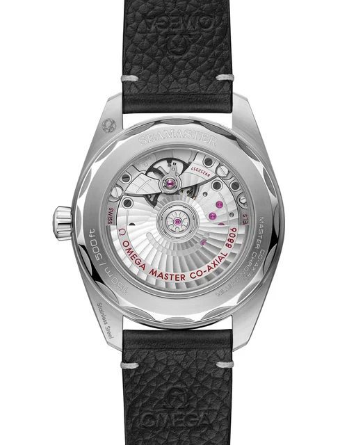 OMEGA Seamaster Railmaster 235.12.38.20.06.001 kol saati