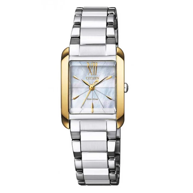 Citizen Citizen EW5554-82D kol saati