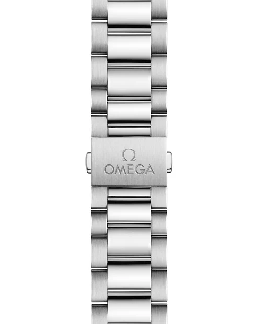 OMEGA Seamaster Aqua Terra 150M 220.10.38.20.02.001 kol saati