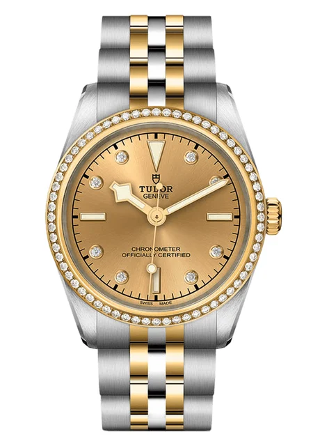 Tudor Black Bay 301342 kol saati