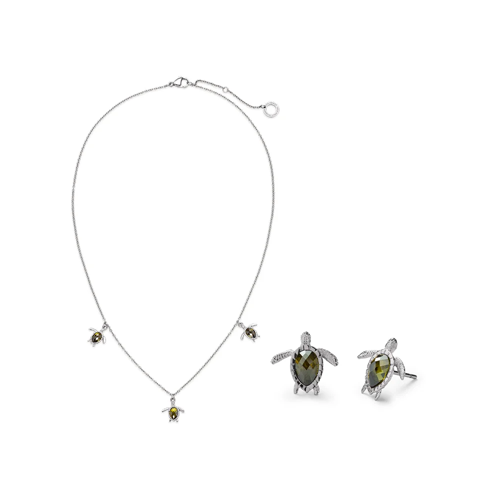 Default Set Turtle Silber PH-SET-0589 kol saati