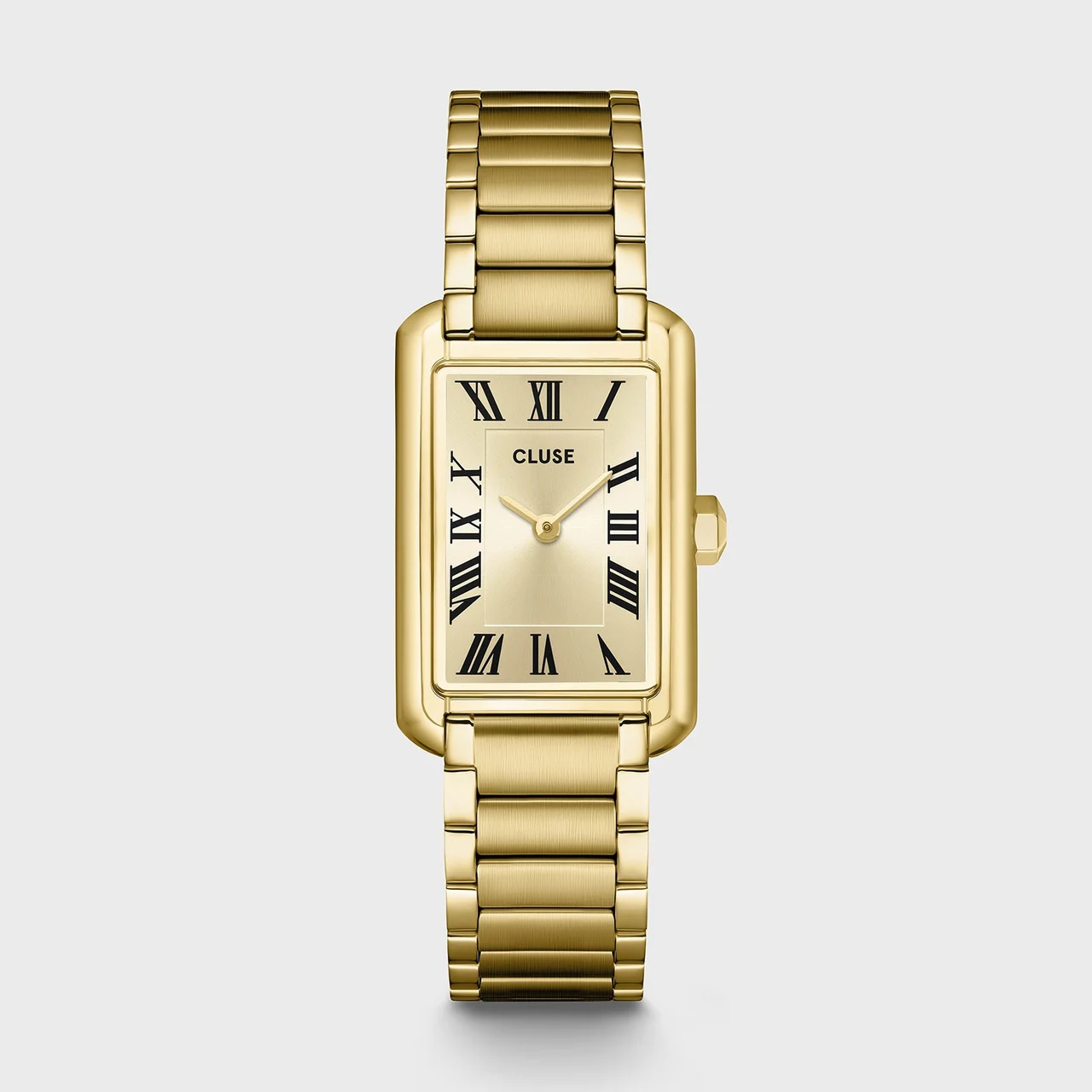 CLUSE Belisenna Watch Steel, Full Gold Colour CW15009 kol saati