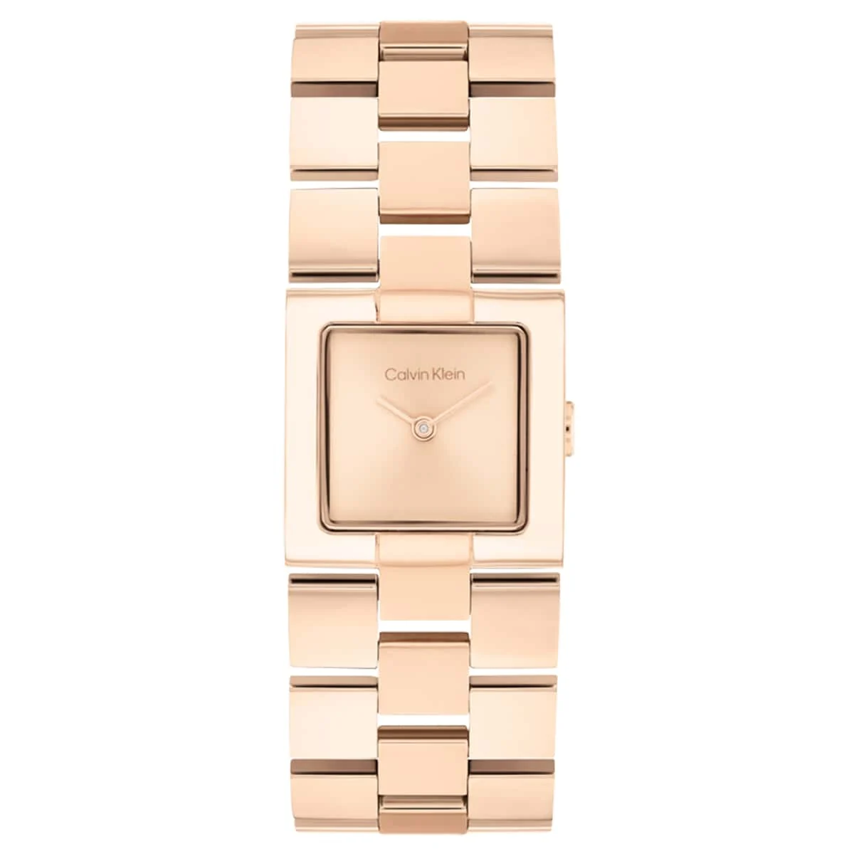 Calvin Klein CK Meridian CK25100090 22 mm kol saati