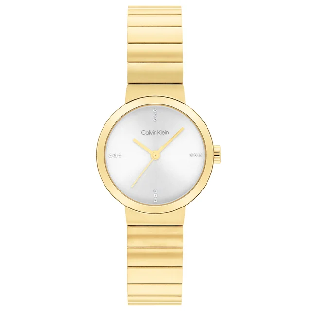 Calvin Klein Precise CK25200416 kol saati