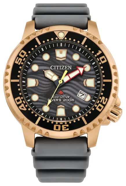 Citizen Promaster Dive BN0163-00H kol saati