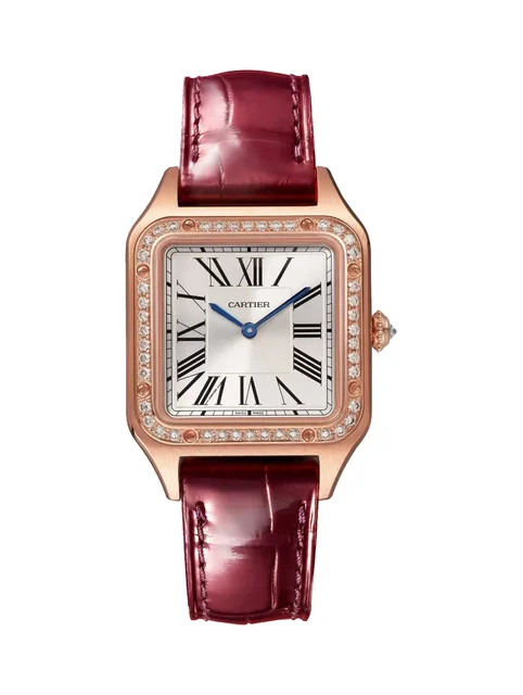 Cartier Santos WJSA0017 kol saati