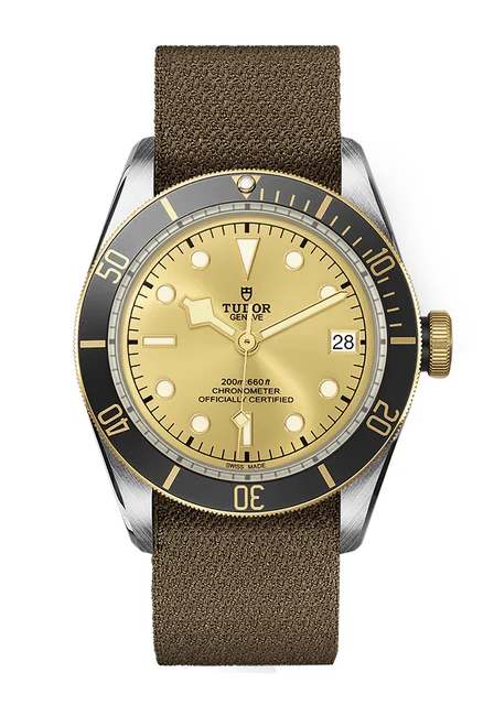 Tudor Black Bay 132550 kol saati