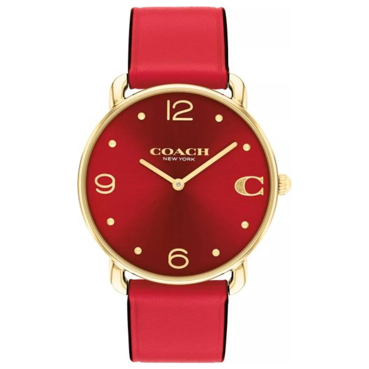 Coach Elliot Watch 14504249 kol saati
