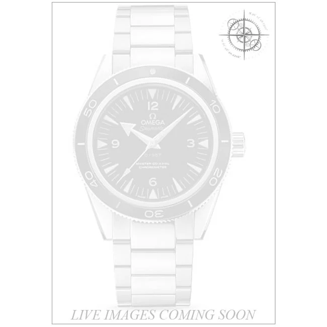 OMEGA Seamaster 300 Master Co-axial Platinum 210000047834 41 mm kol saati