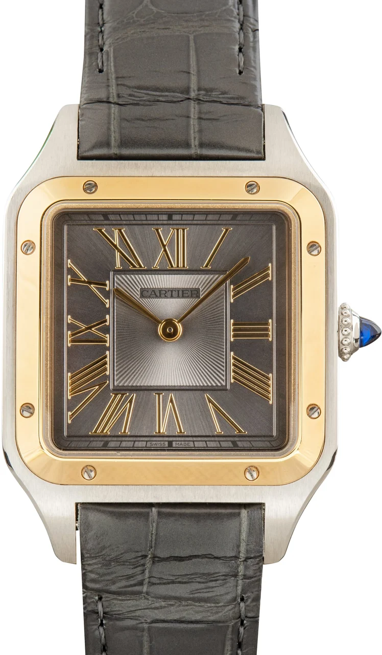 Cartier Santos Dumont Ref W2SA0036 Large Model W2SA0028 44 mm kol saati