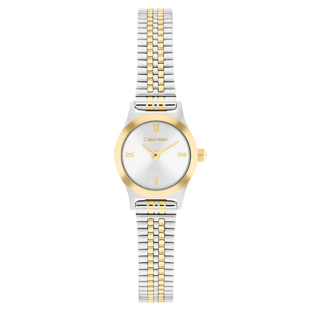 Calvin Klein CK Contemporary CK25100207 kol saati