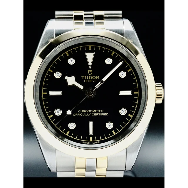 Tudor Black Bay 41 S&G 210000058504 kol saati