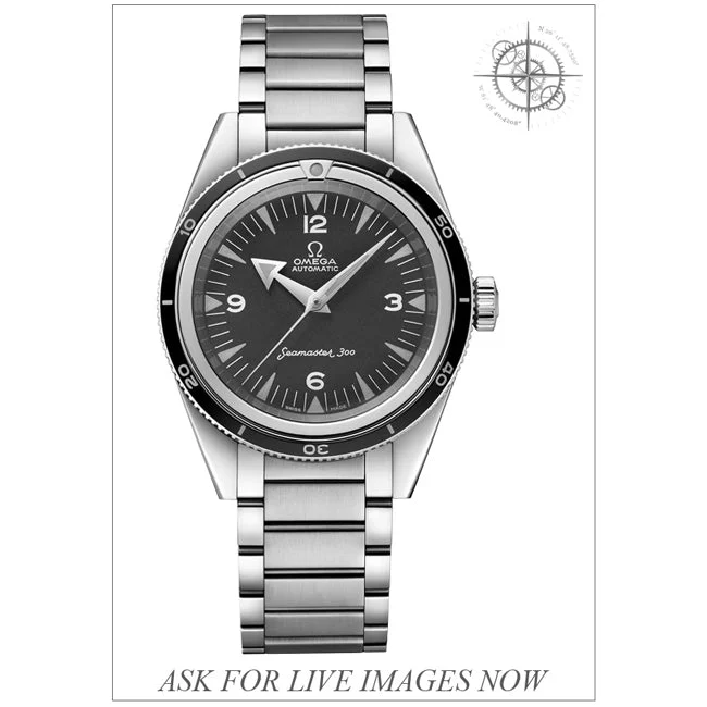 OMEGA Seamaster 300 Co-Axial Master Chronometer 210000075836 39 mm kol saati
