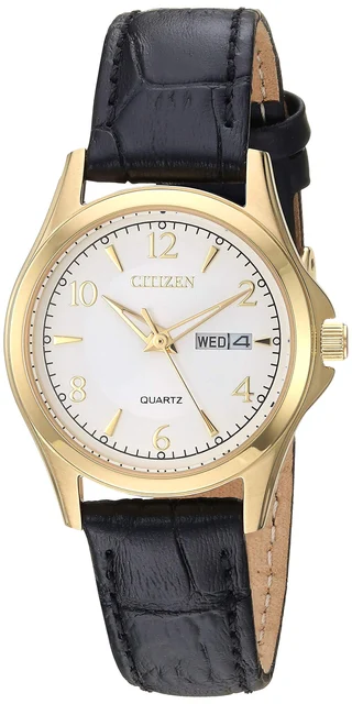 Citizen Citizen EQ0593-26A kol saati