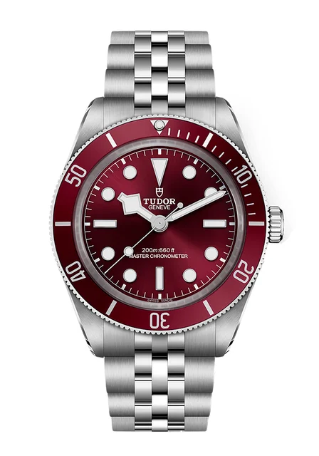 Tudor Black Bay 301755 kol saati