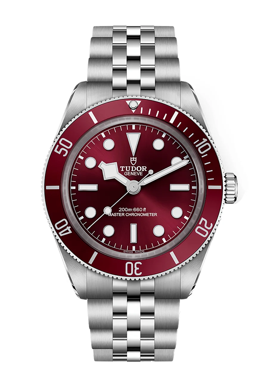Tudor Black Bay 301755 39 mm kol saati