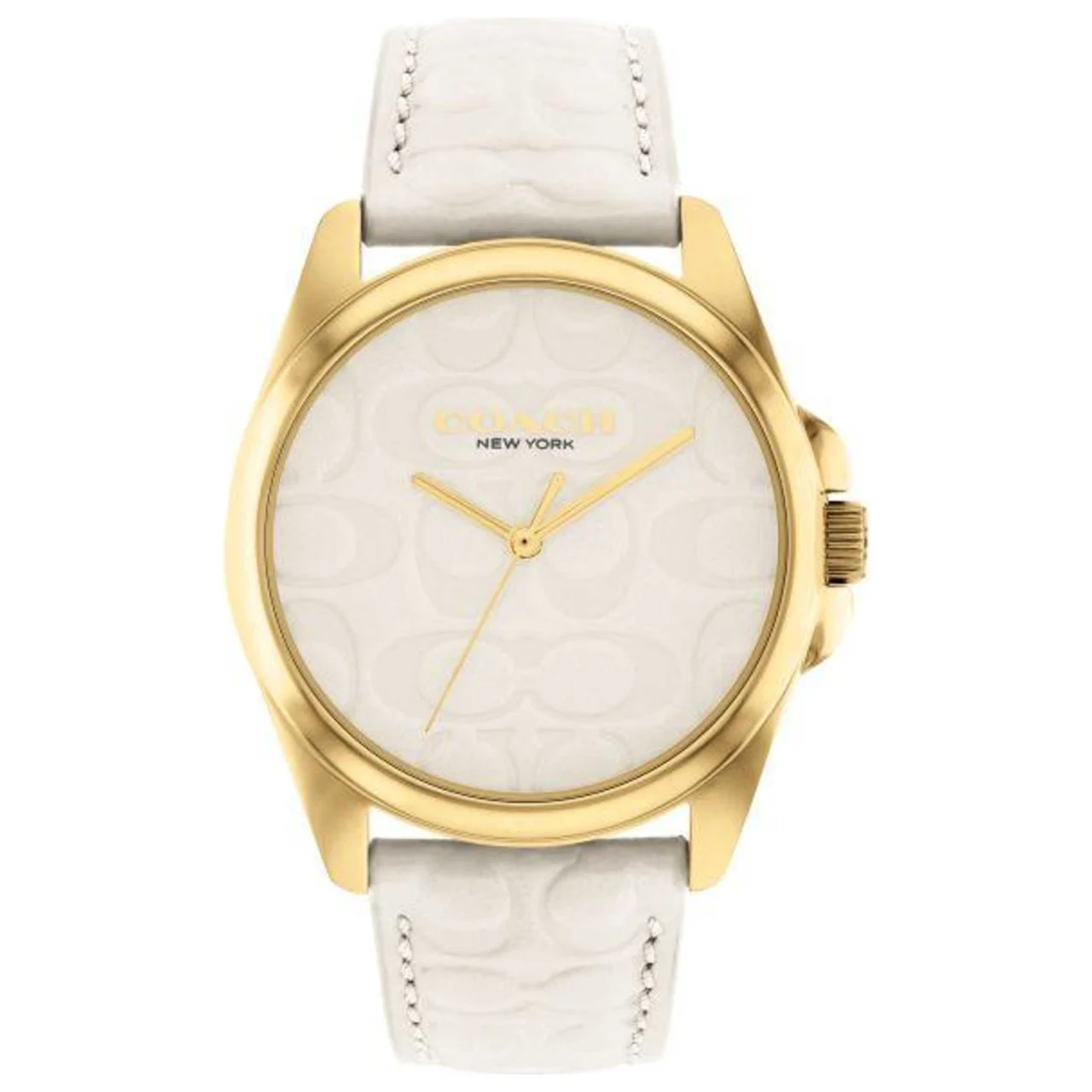 Coach Greyson Watch 14504141 kol saati