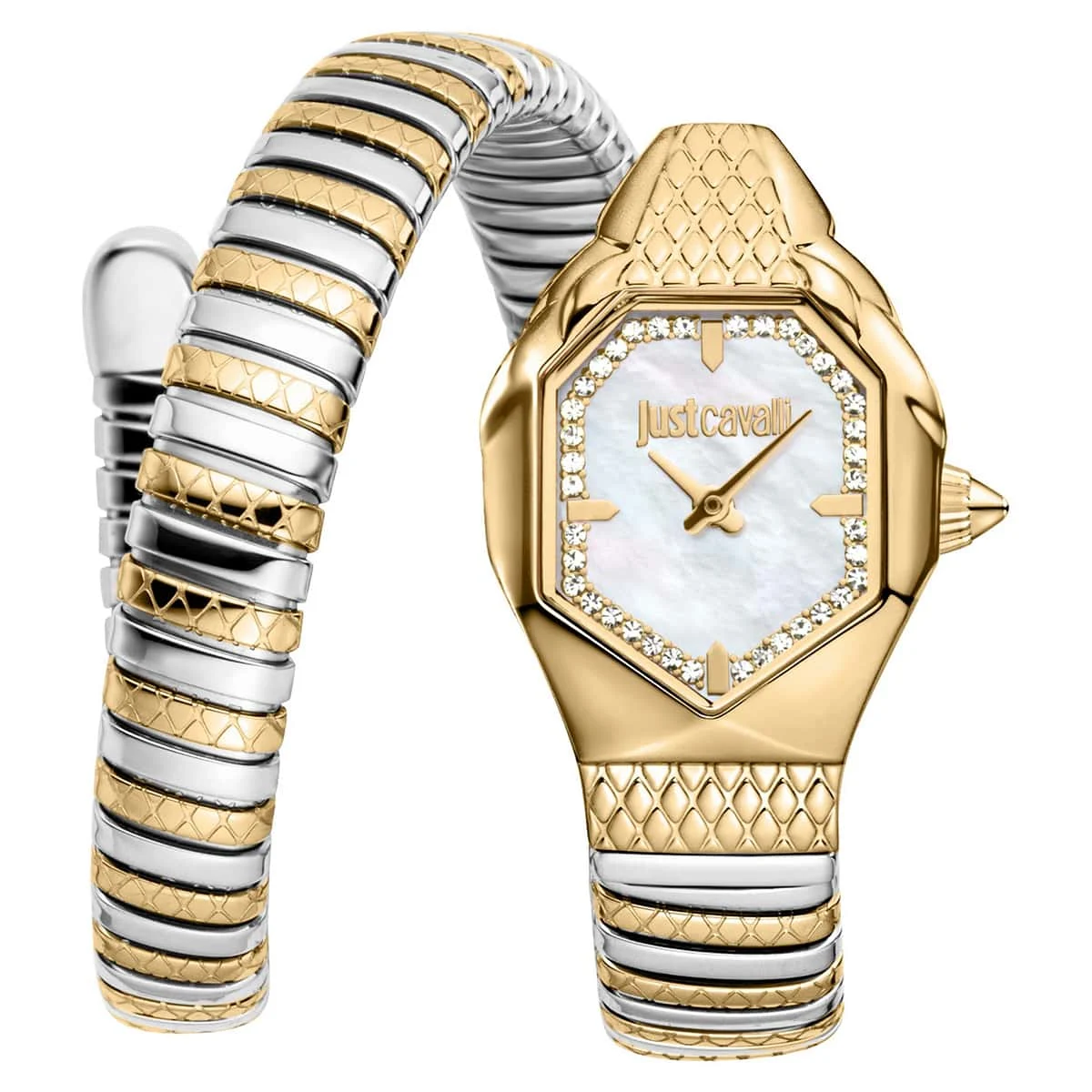 Just Cavalli Aria JC1L369M0065 22 mm kol saati