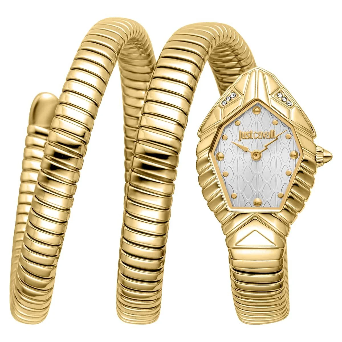 Just Cavalli Sintonia JC1L428M0025 22 mm kol saati