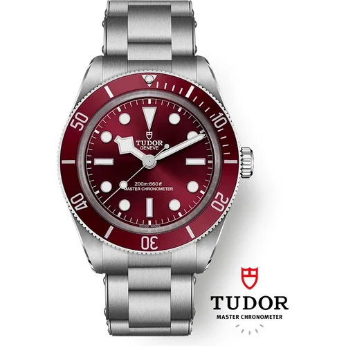 Tudor Black Bay 58 M7939A1A0RU-0002 39 mm kol saati