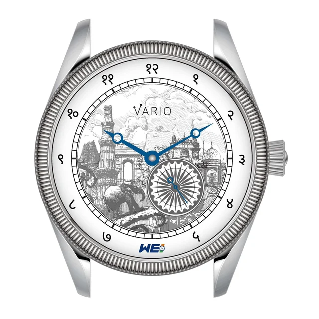 VARIOeveryday Navi WEI01 kol saati