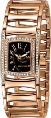 Pierre Cardin 100632F01 kol saati
