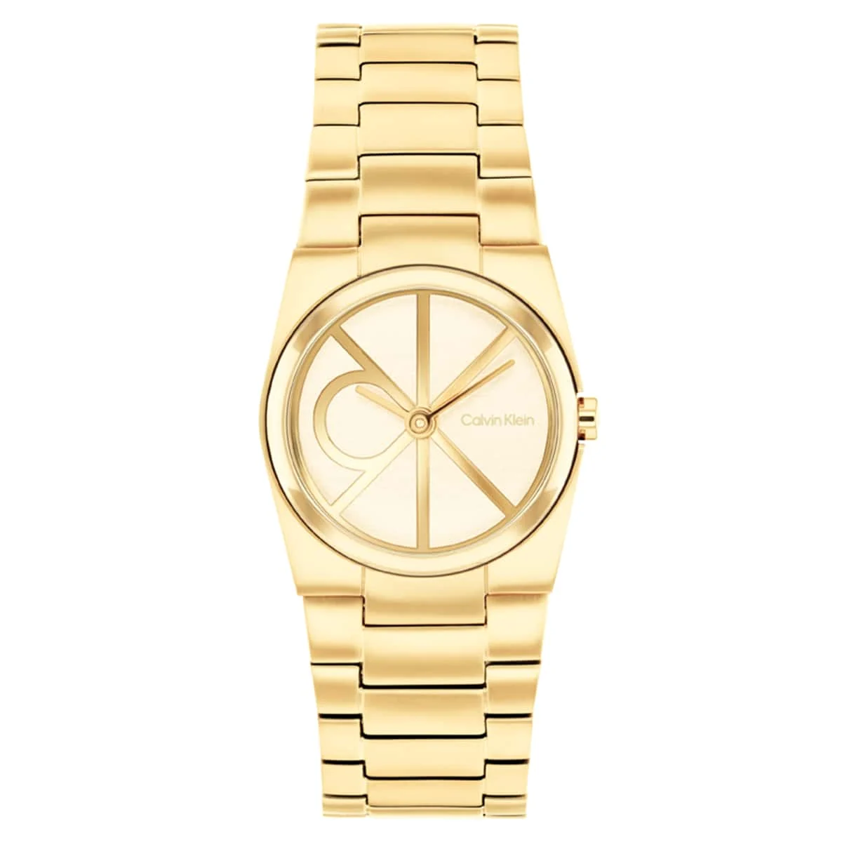 Calvin Klein CK Unite CK25100127 26 mm kol saati