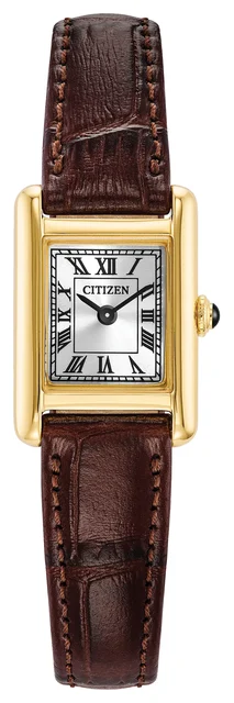 Citizen Fio Roma EG2797-13A kol saati
