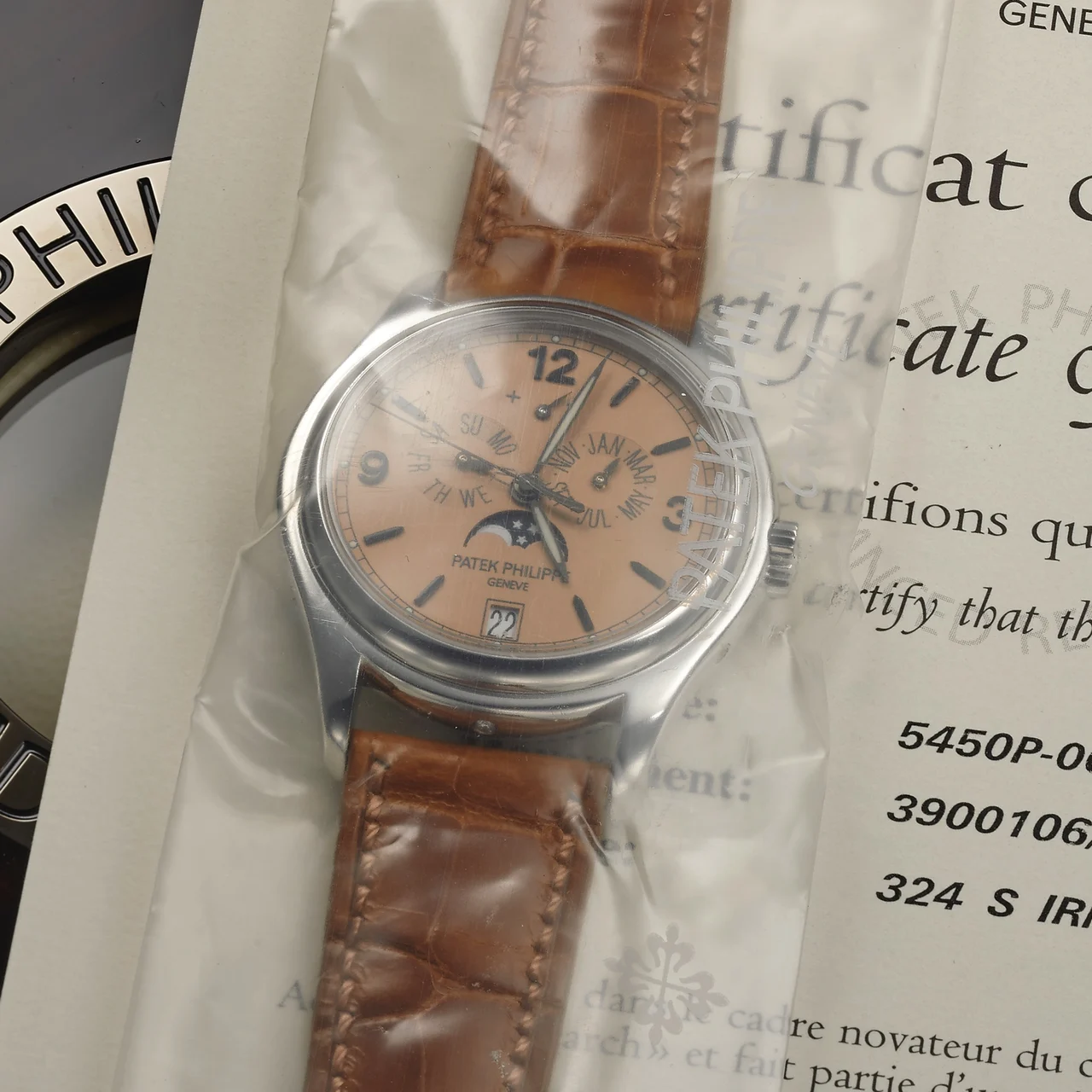 Patek Philippe PATEK PHILIPPE REF. 5450 ADVANCED RESEARCH PLATINUM kol saati