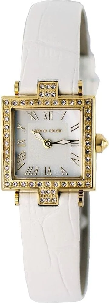 Pierre Cardin 104032F02 22 mm kol saati