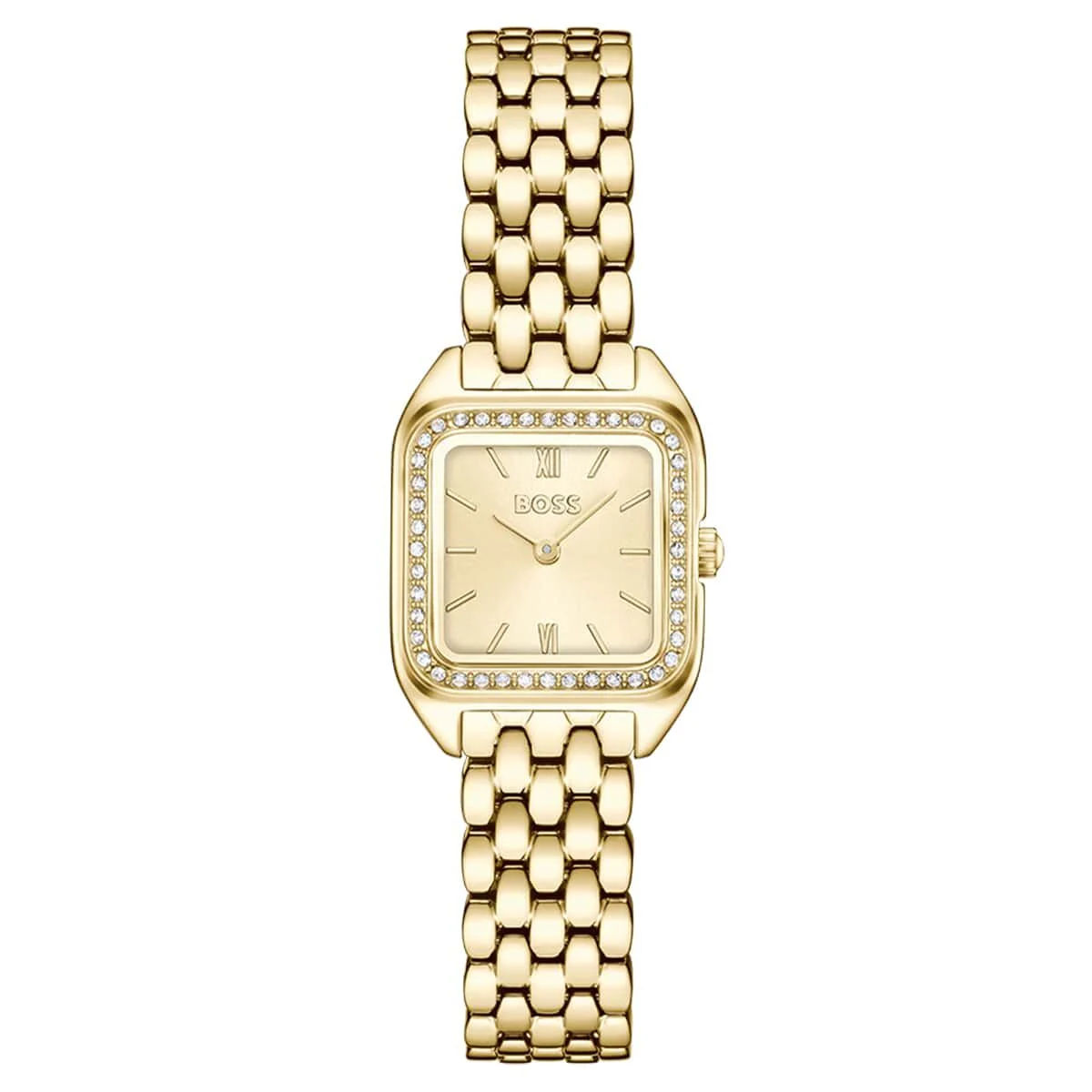 Boss Watches Mae Petite HB1502883 22 mm kol saati