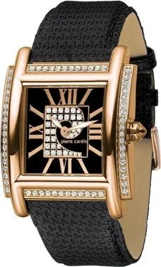 Pierre Cardin 100542F02 kol saati