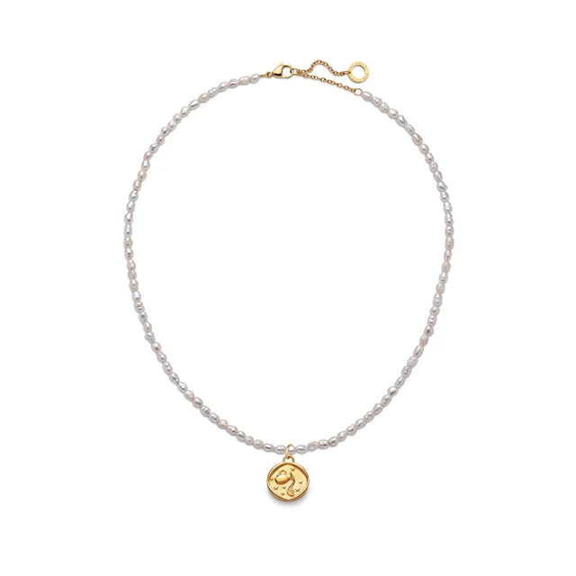 Default Set Aquarius Charm und Halskette Gold PH-JE-1299 kol saati