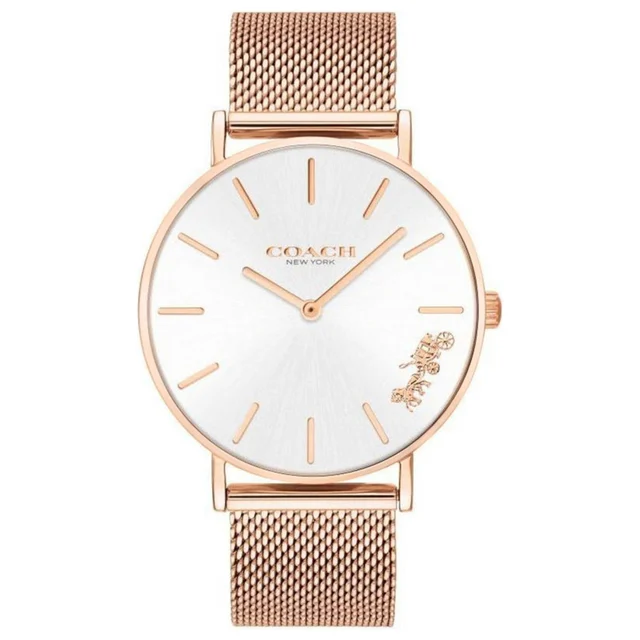 Coach Perry Watch 14503126 kol saati