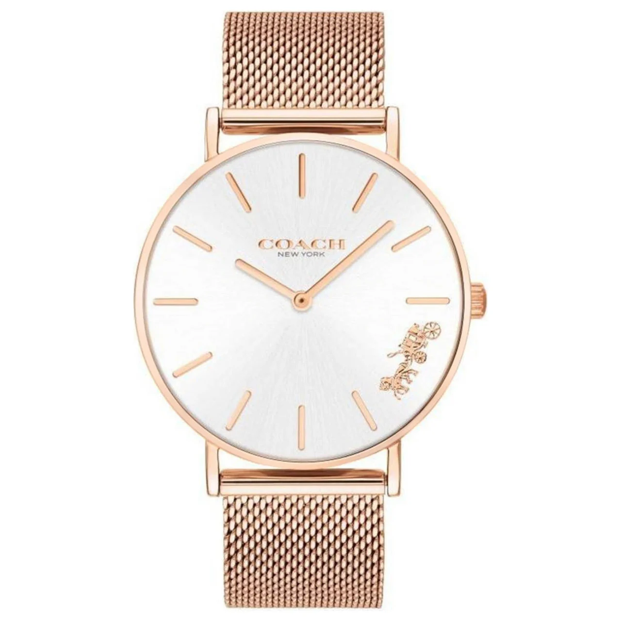 Coach Perry Watch 14503126 kol saati