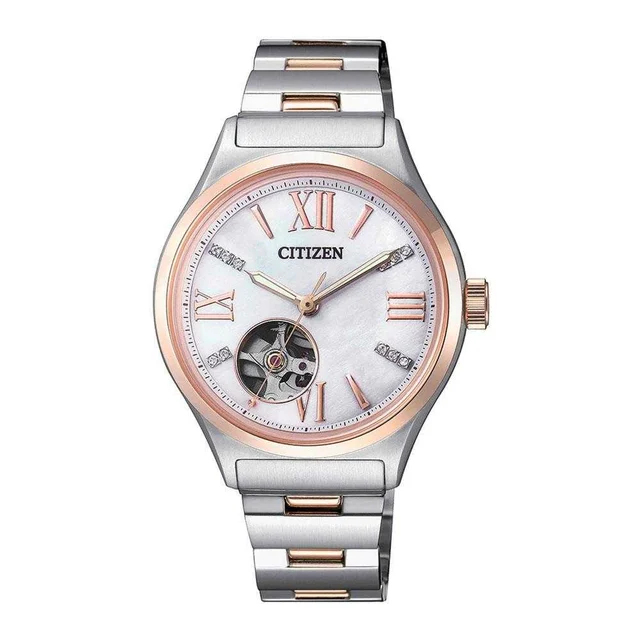 Citizen Citizen PC1009-51D kol saati