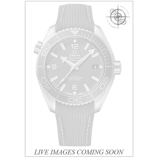 OMEGA Seamaster Planet Ocean 600m 43.5mm 210000062337 kol saati