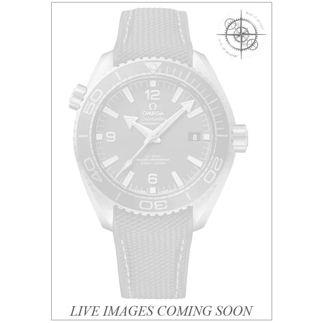 OMEGA Seamaster Planet Ocean 600m 43.5mm 210000062337 43.5 mm kol saati
