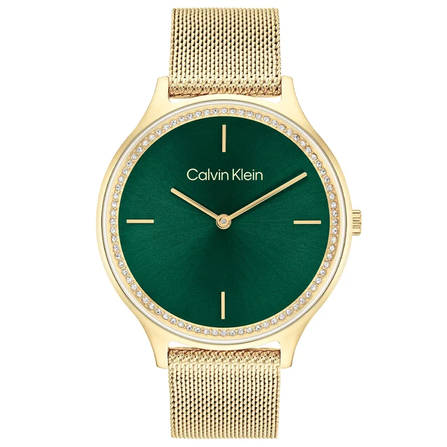 Calvin Klein CK Timeless CK25100005 kol saati