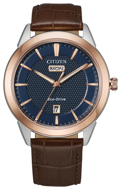 Citizen Citizen 17691413 kol saati